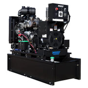 Winco DE23 Gen 3 Teir 4 Final Diesel Generator Open Skid Prime (47 Gal. tank option available)