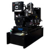 Winco DE23 Gen 3 Teir 4 Final Diesel Generator Open Skid Prime (47 Gal. tank option available)